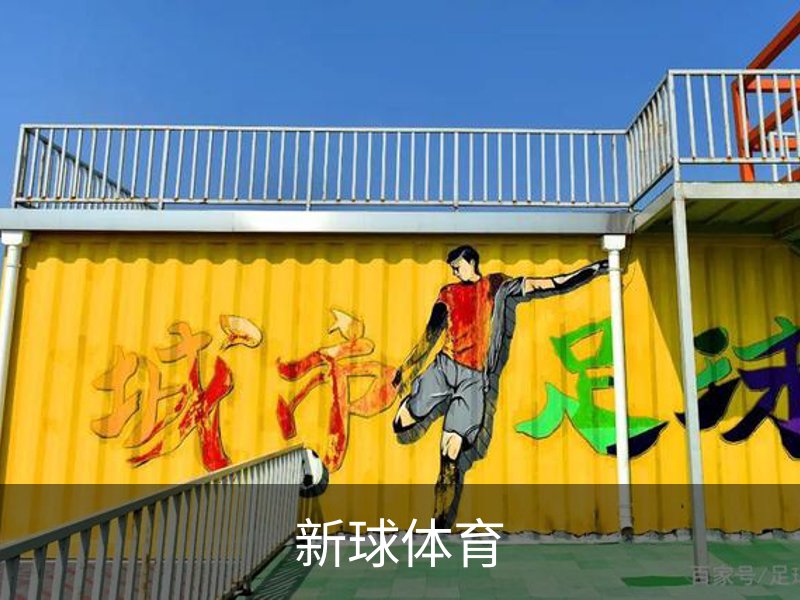 关于新球体育